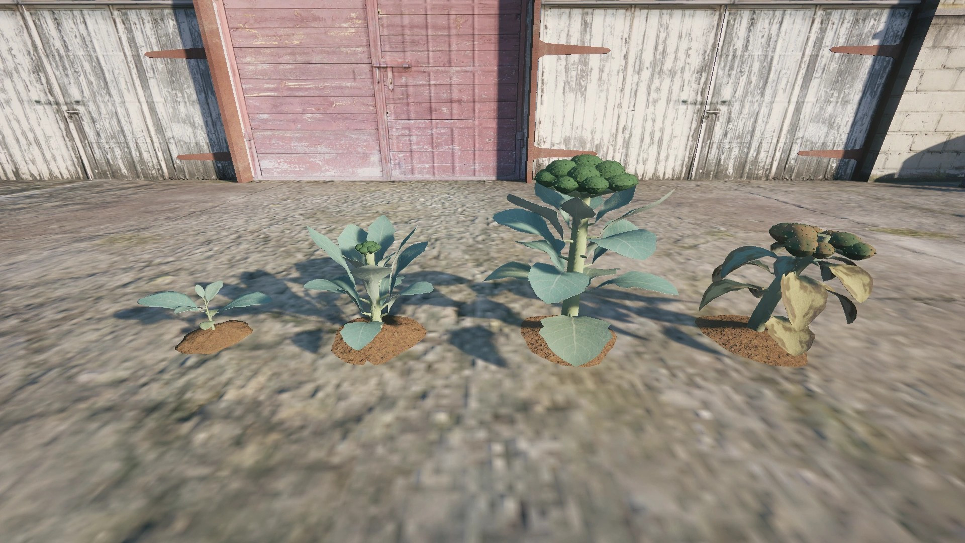 Farm Props: Leafy Greens & Herbs - 6