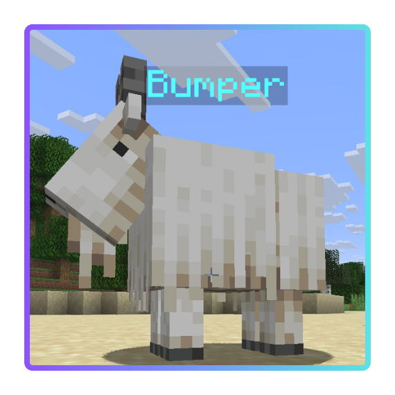 Bumper