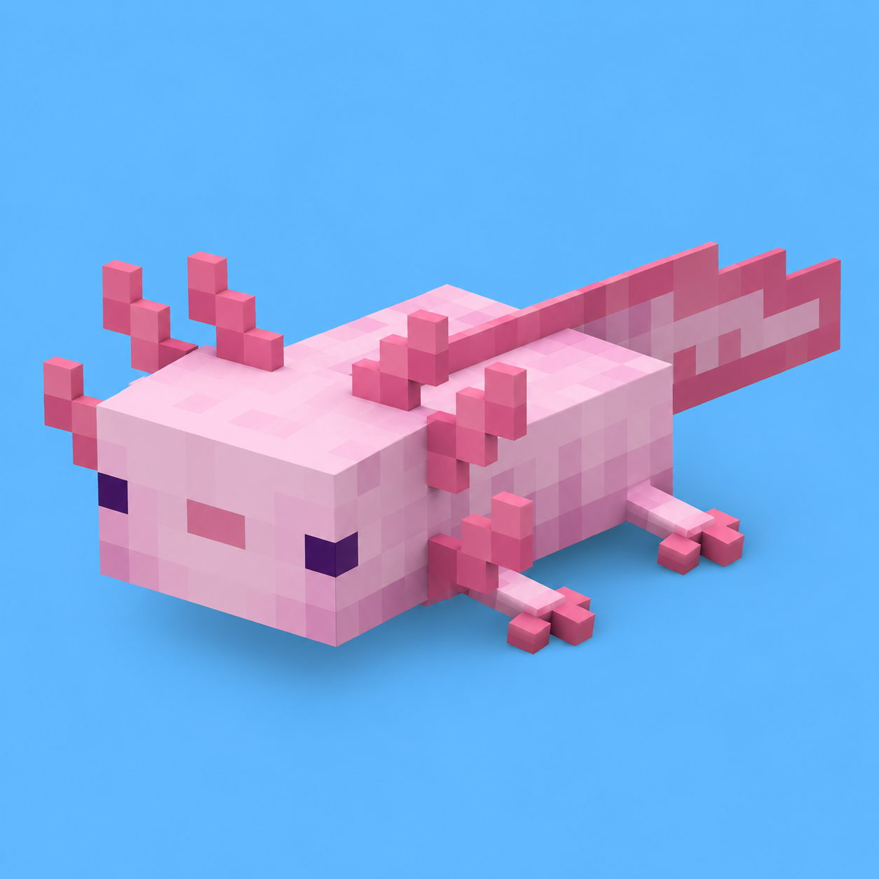 Axolotl