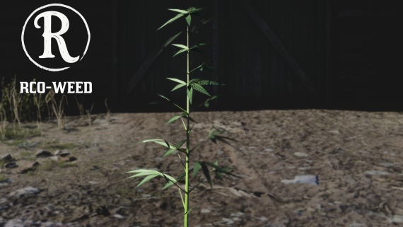  RCO-Weed