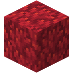 Coral+