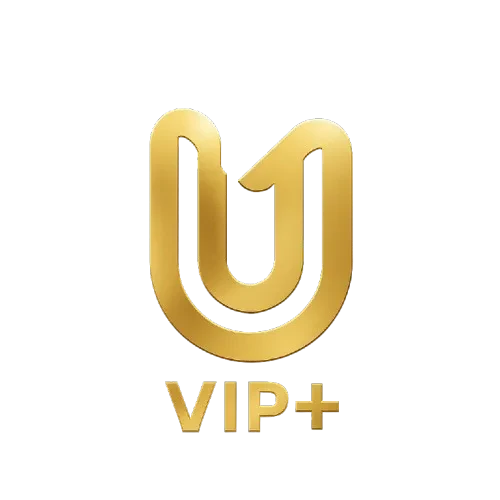 UnityVIP+ - KuukausiTilaus