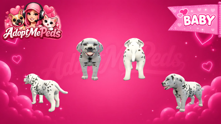 Dalmatian & Dalmatian Puppy