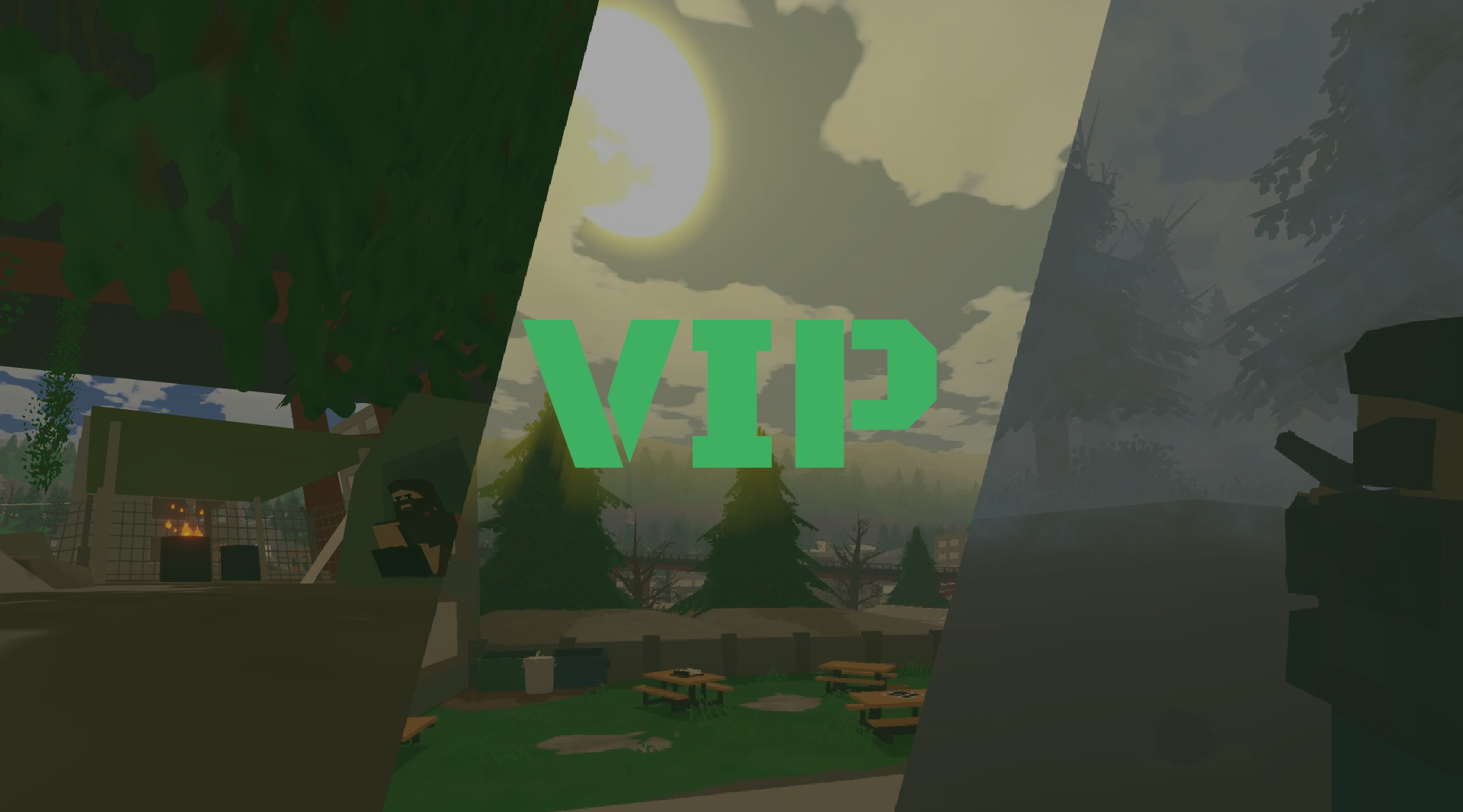 VIP