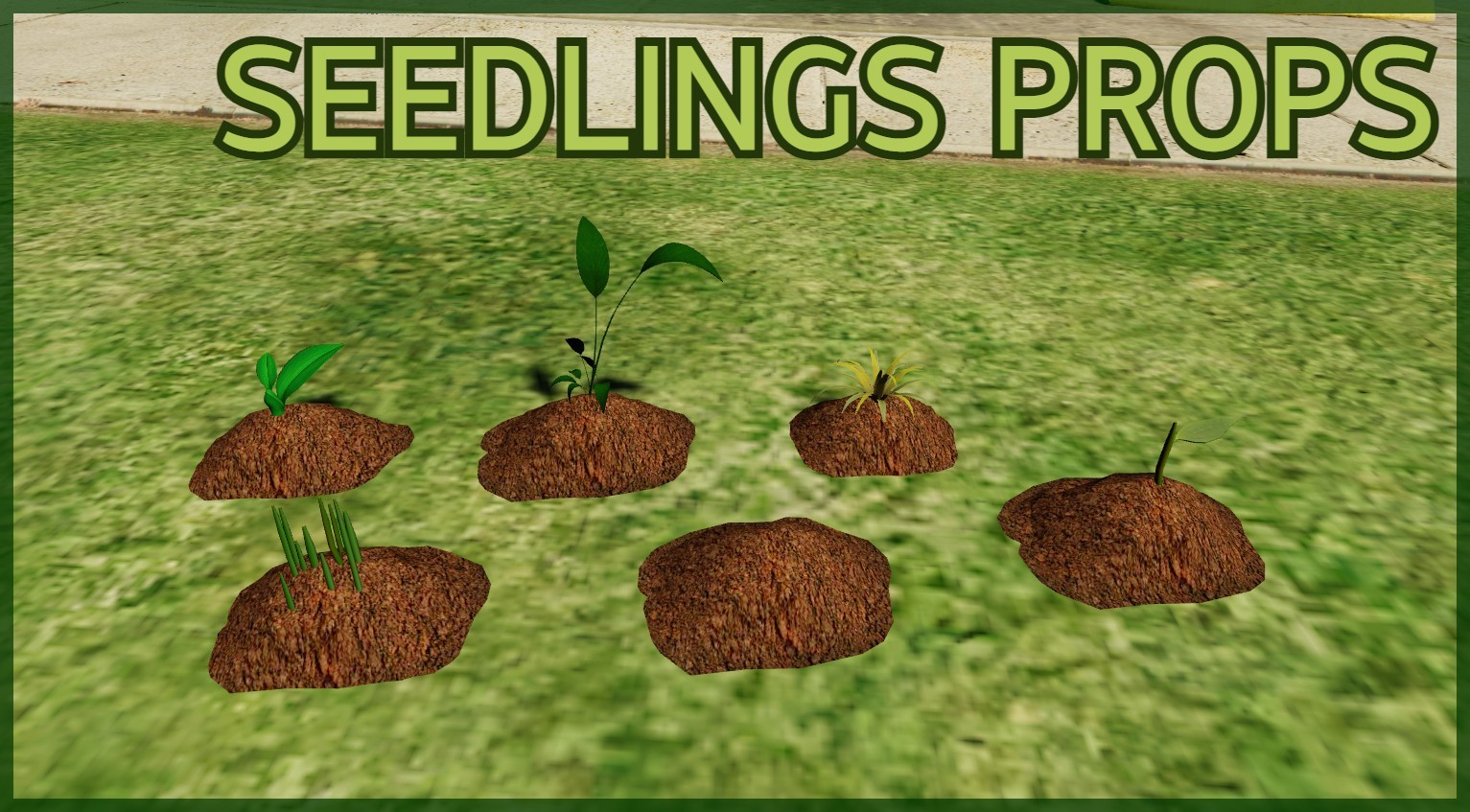 Seedlings - 6 pieces