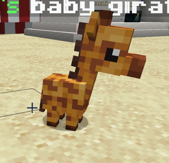 Baby Giraffe Pet