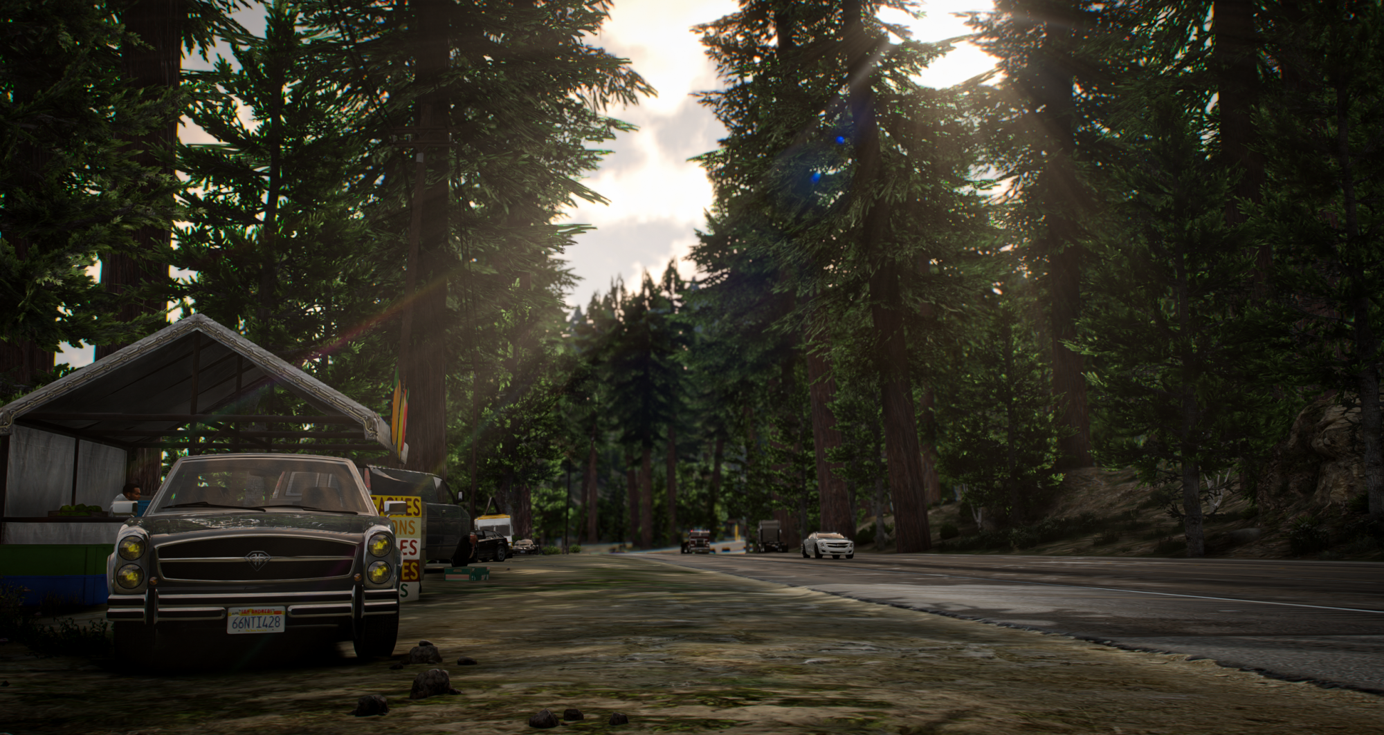 Vegetation Pack: Trees, Forests + Foliage Overhaul
