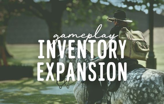 Inventory Expansion