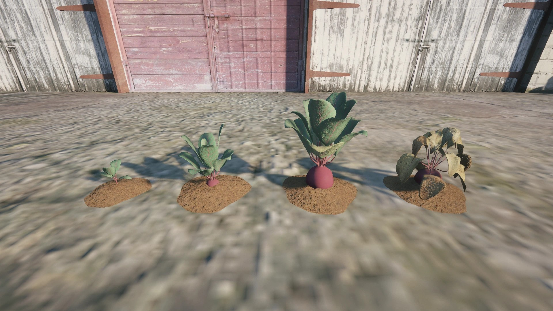 Farm Props: Roots & Bulbs - 2