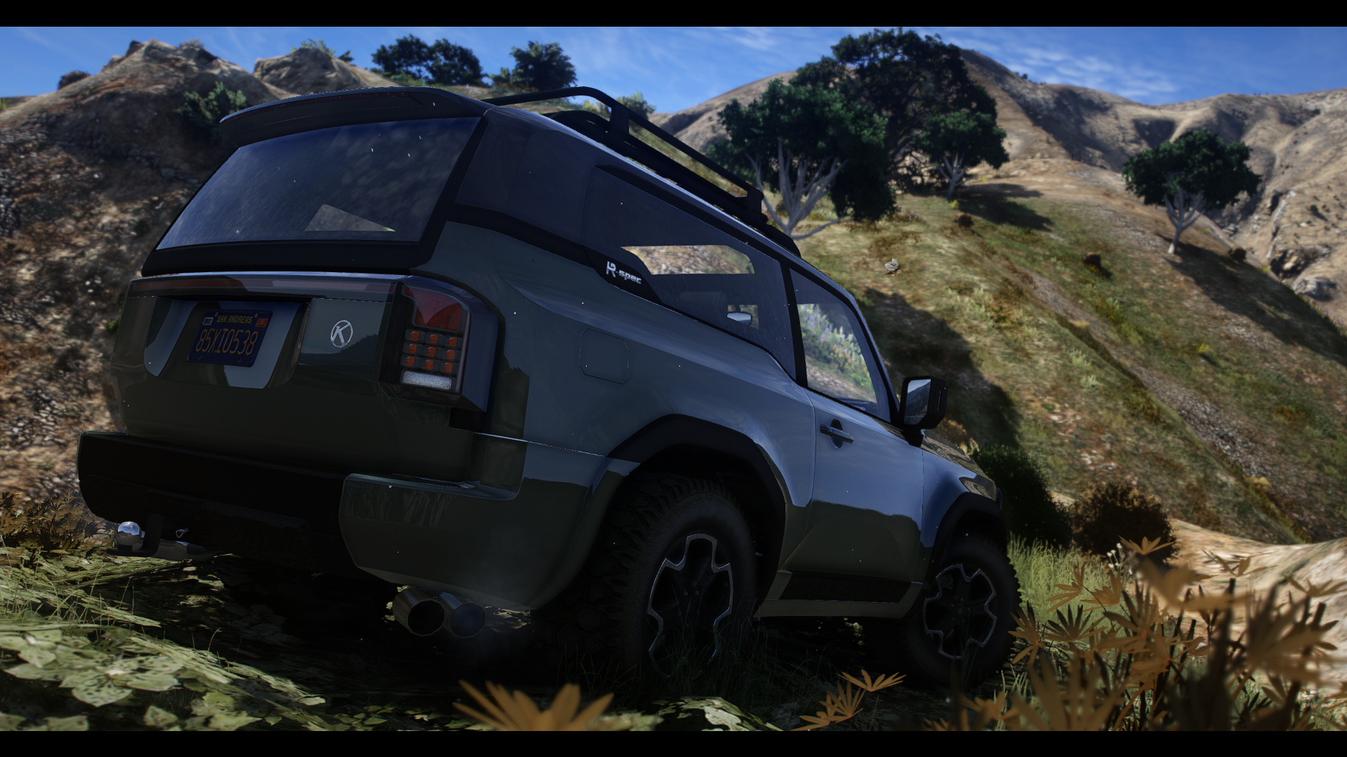 Karin Overland SWB