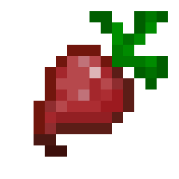 Beetroot Seed