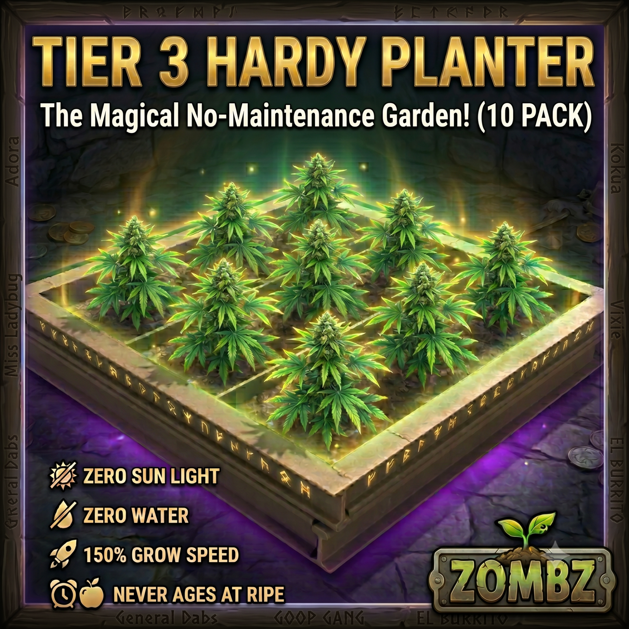 Tier 3 Hardy Planter 10 Pack