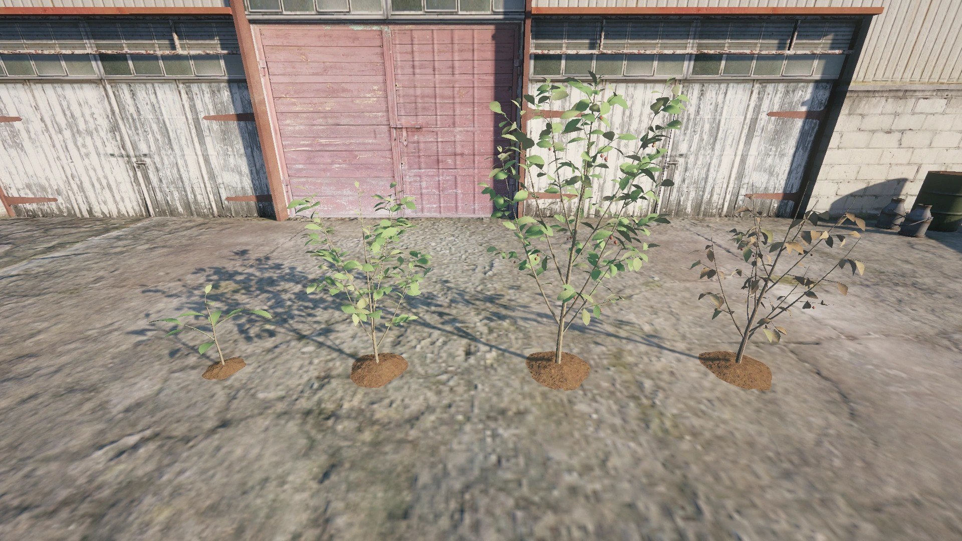 Farm Props: Street Crops - 4