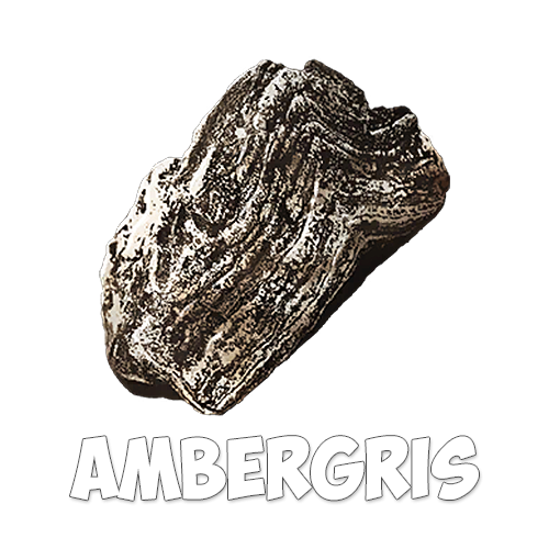 Ambergris x10