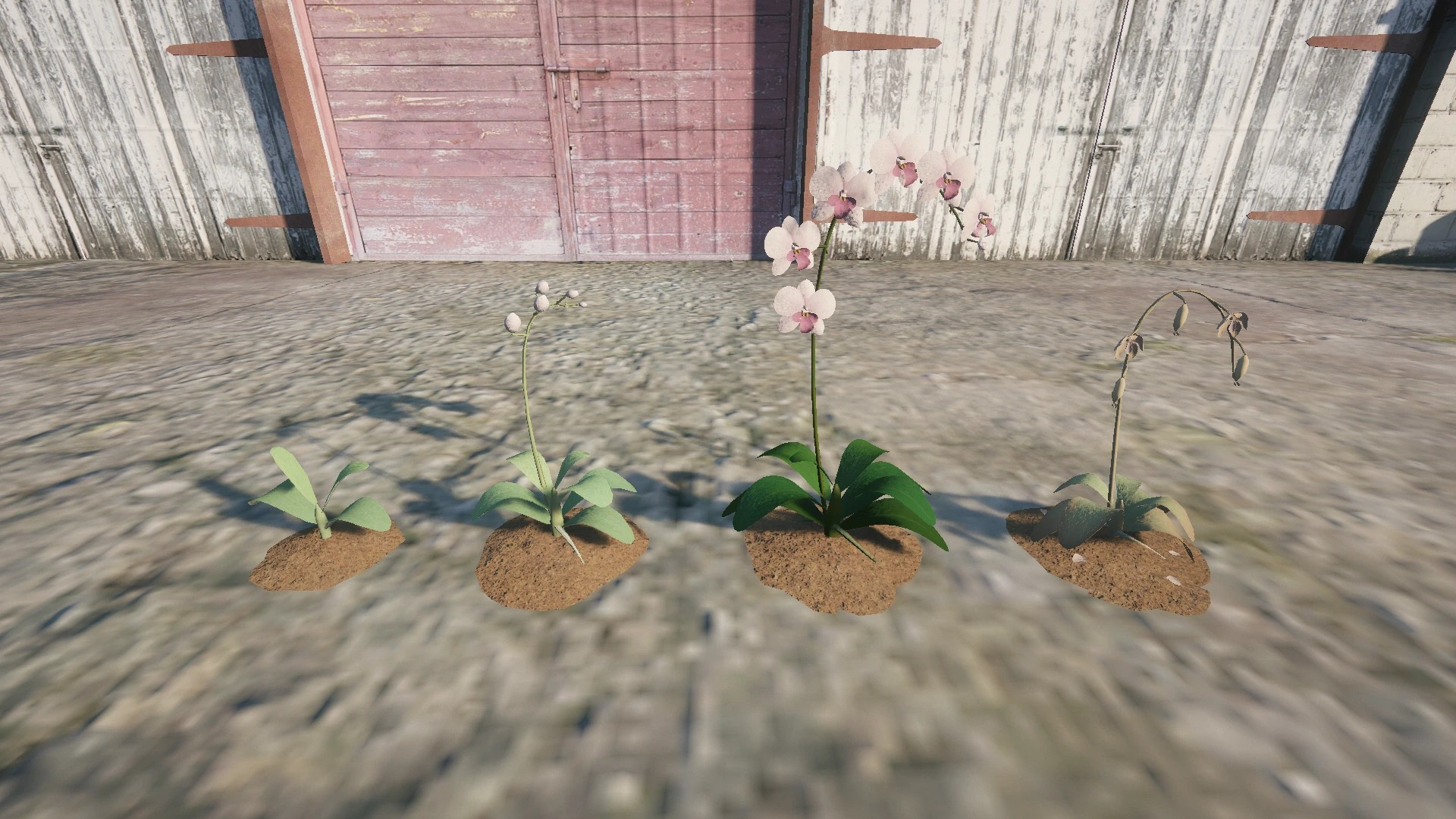 Farm Props: Greenhouse & Flowers - 4