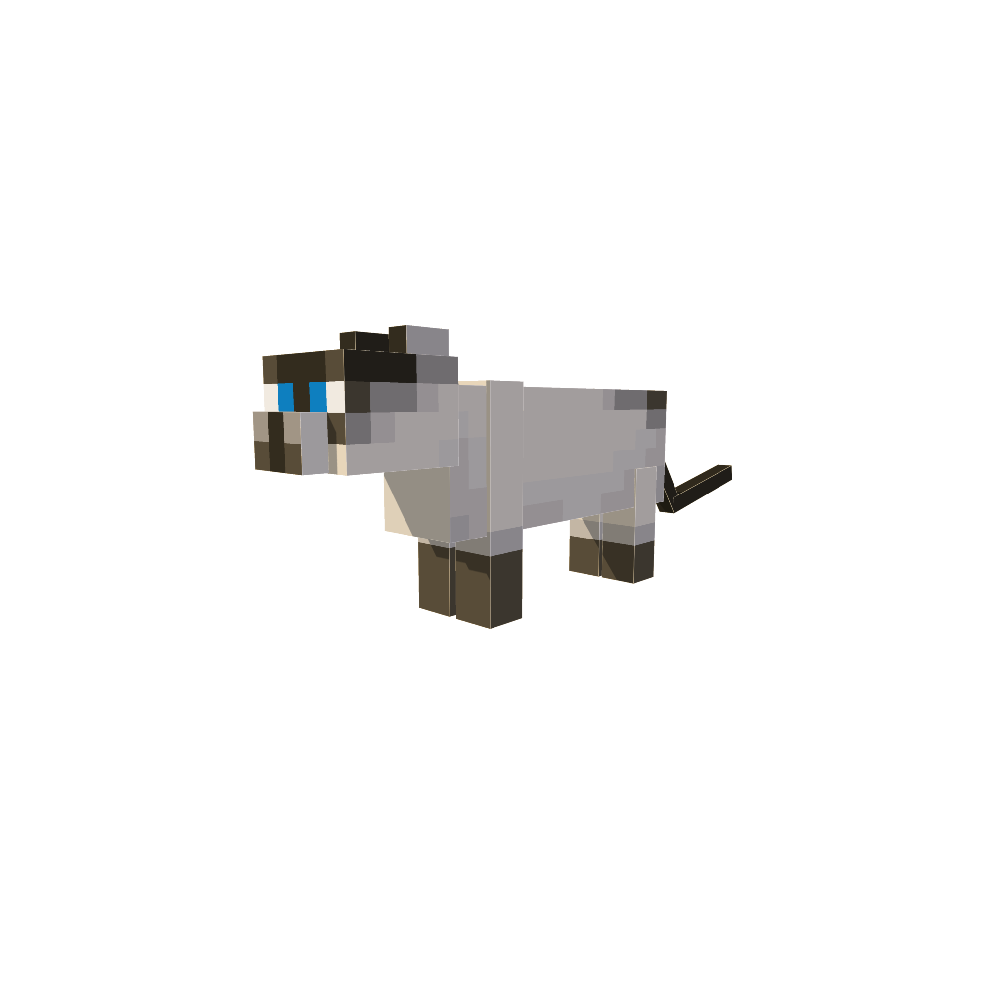Compañero Felino