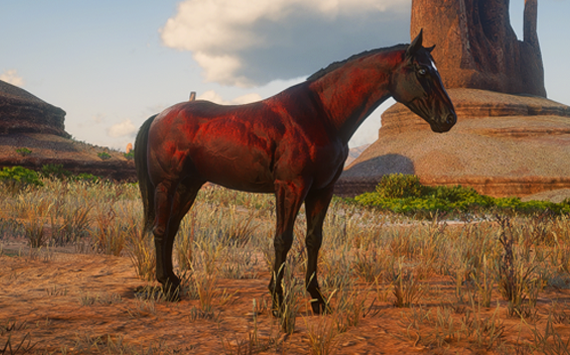 Micah Reborn ChestNut - Femea