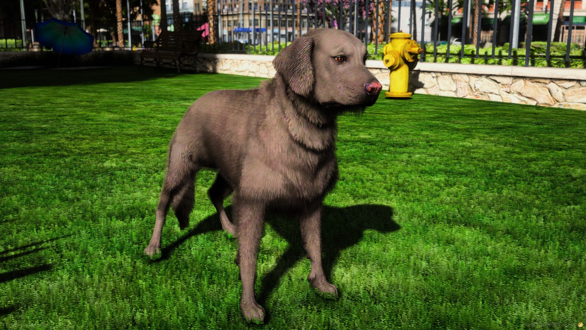 Golden Labrador Retriever Police K9