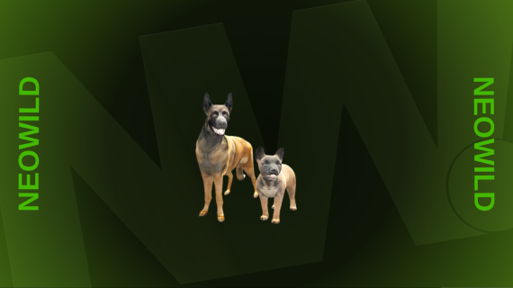 Belgian Shepherd + Belgian Shepherd Puppy Bundle