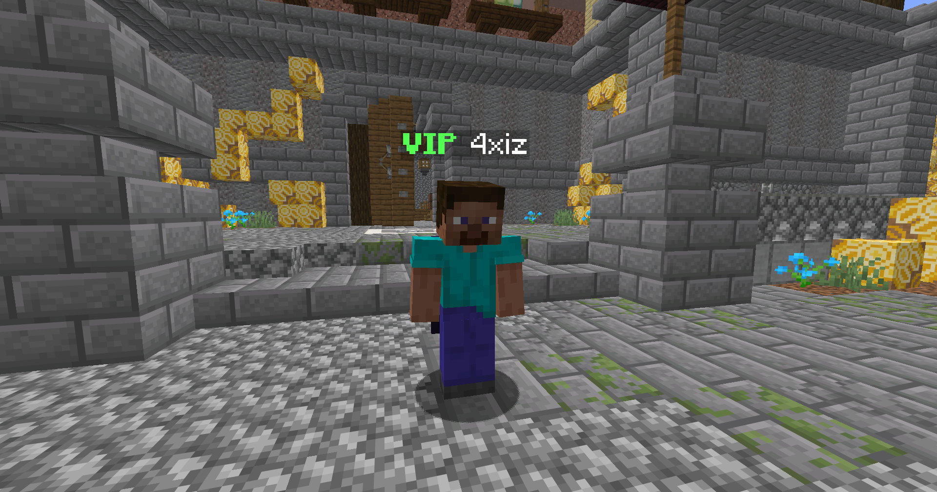 VIP Rank