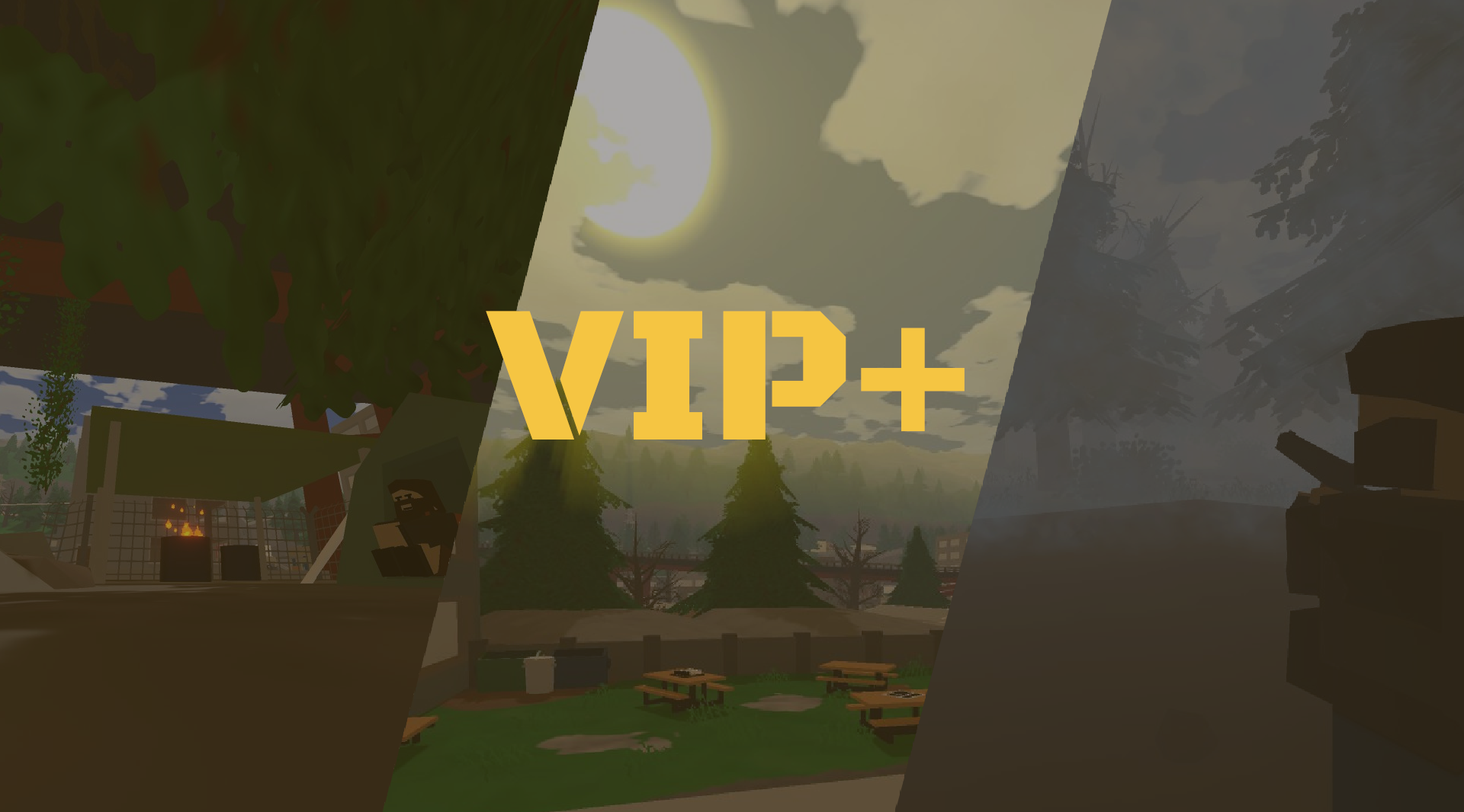 VIP+
