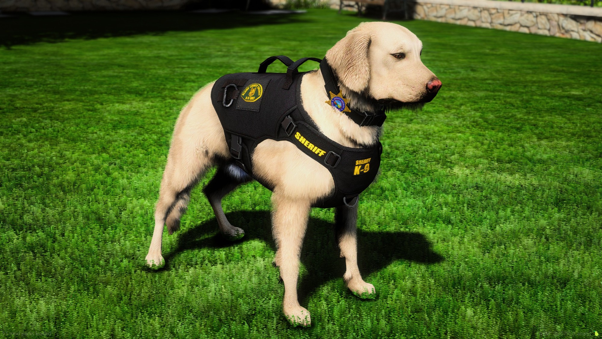 Golden Labrador Retriever Police K9