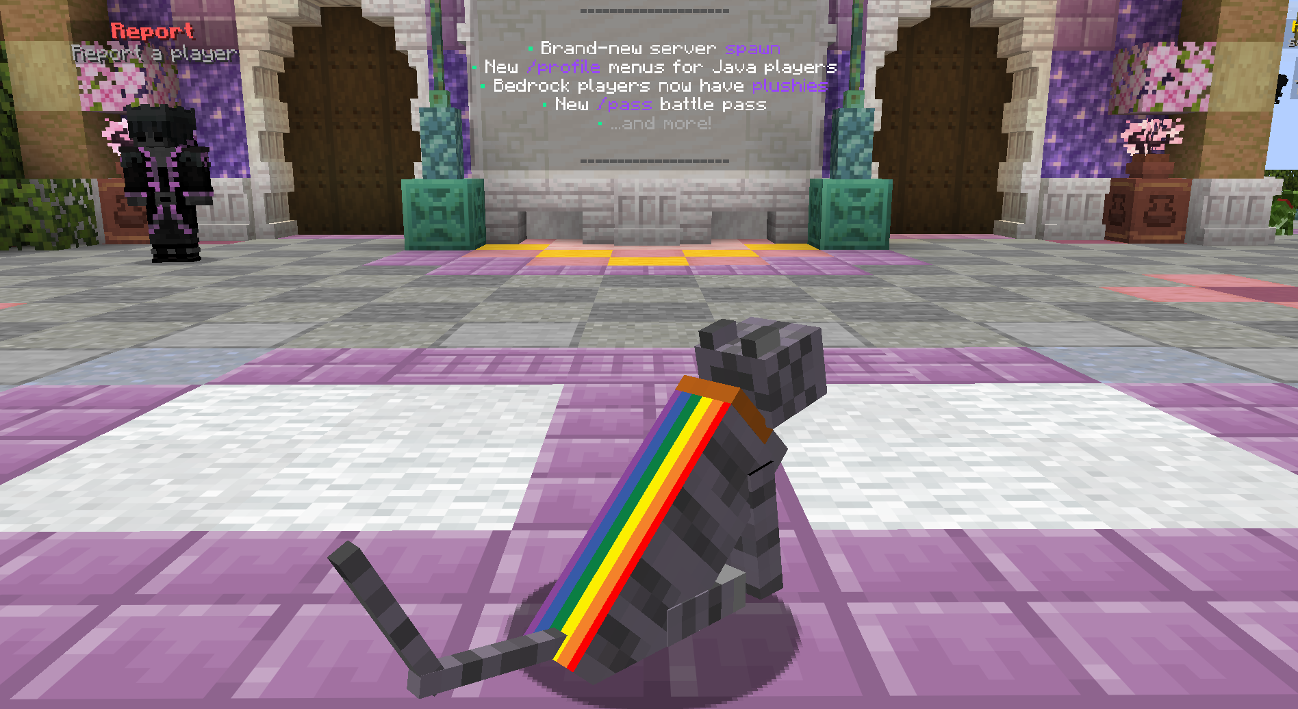 🌈 Rainbow Pride Cape Cat — cosmetic Cat Skins item on the NovaVoid Cat Civilization Minecraft server