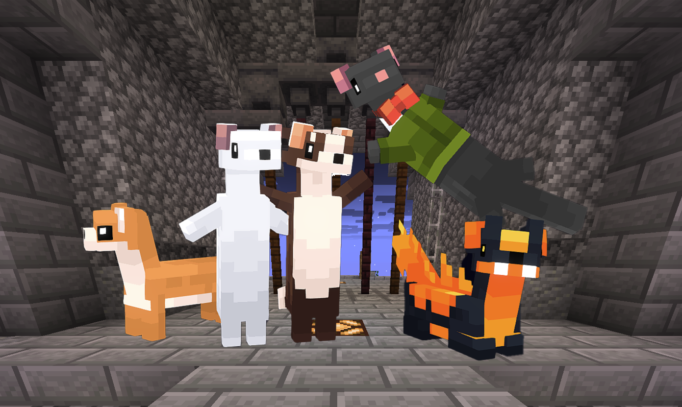 The Weasel Pack: All 5 Weasel's