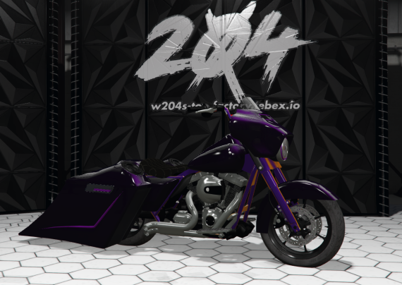 Old Man 204's Bagger 2