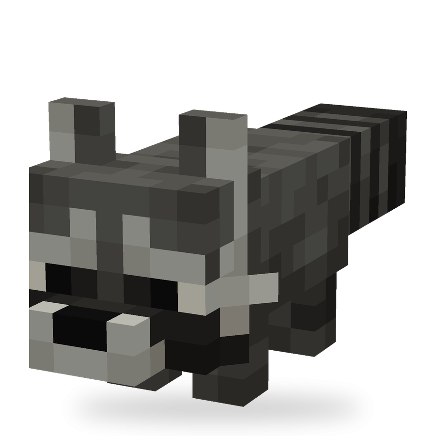 Raccoon Set