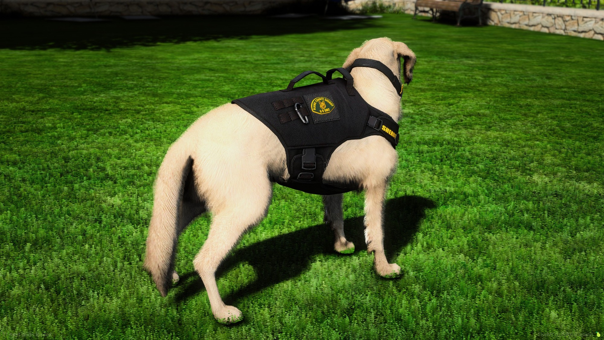 Golden Labrador Retriever Police K9