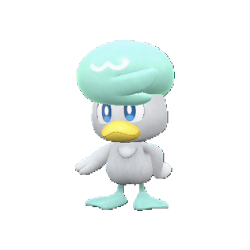 6 IV Shiny Quaxly