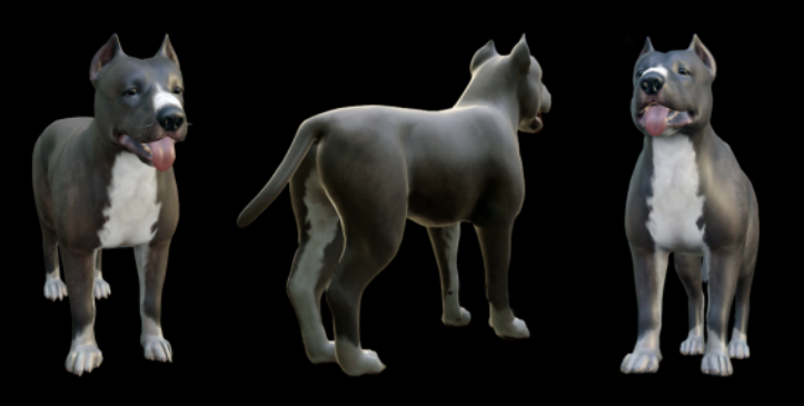 Pitbull