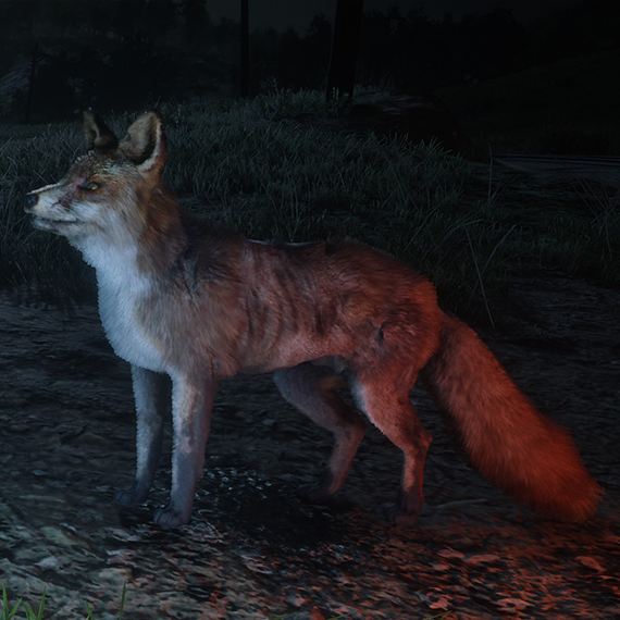 Renard