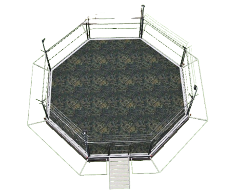 Fighting Ring