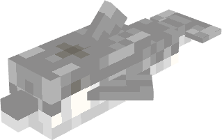 Dolphin Rank