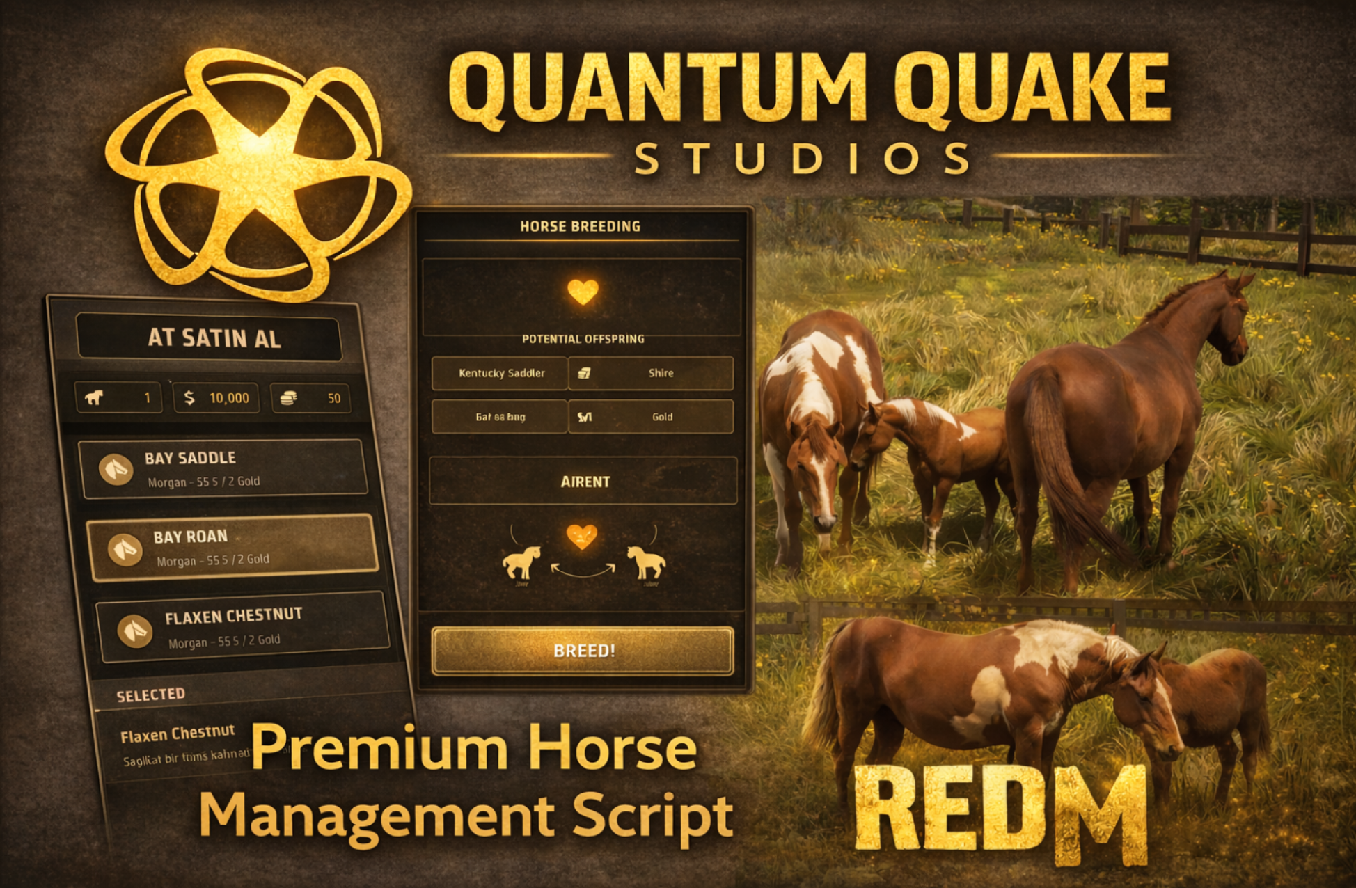 QQ-STABLES