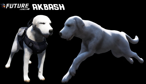 [DOG] Akbash K9