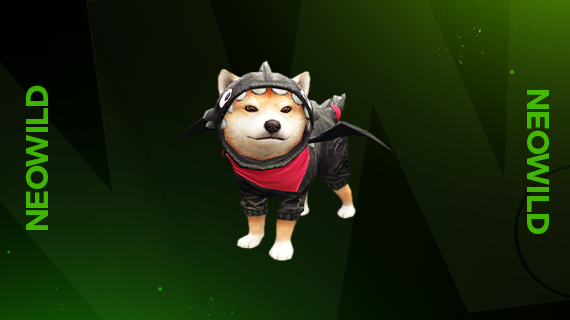 Costume Shiba Inu (7 Varriants)