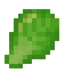 Chinese Cabbage Seed