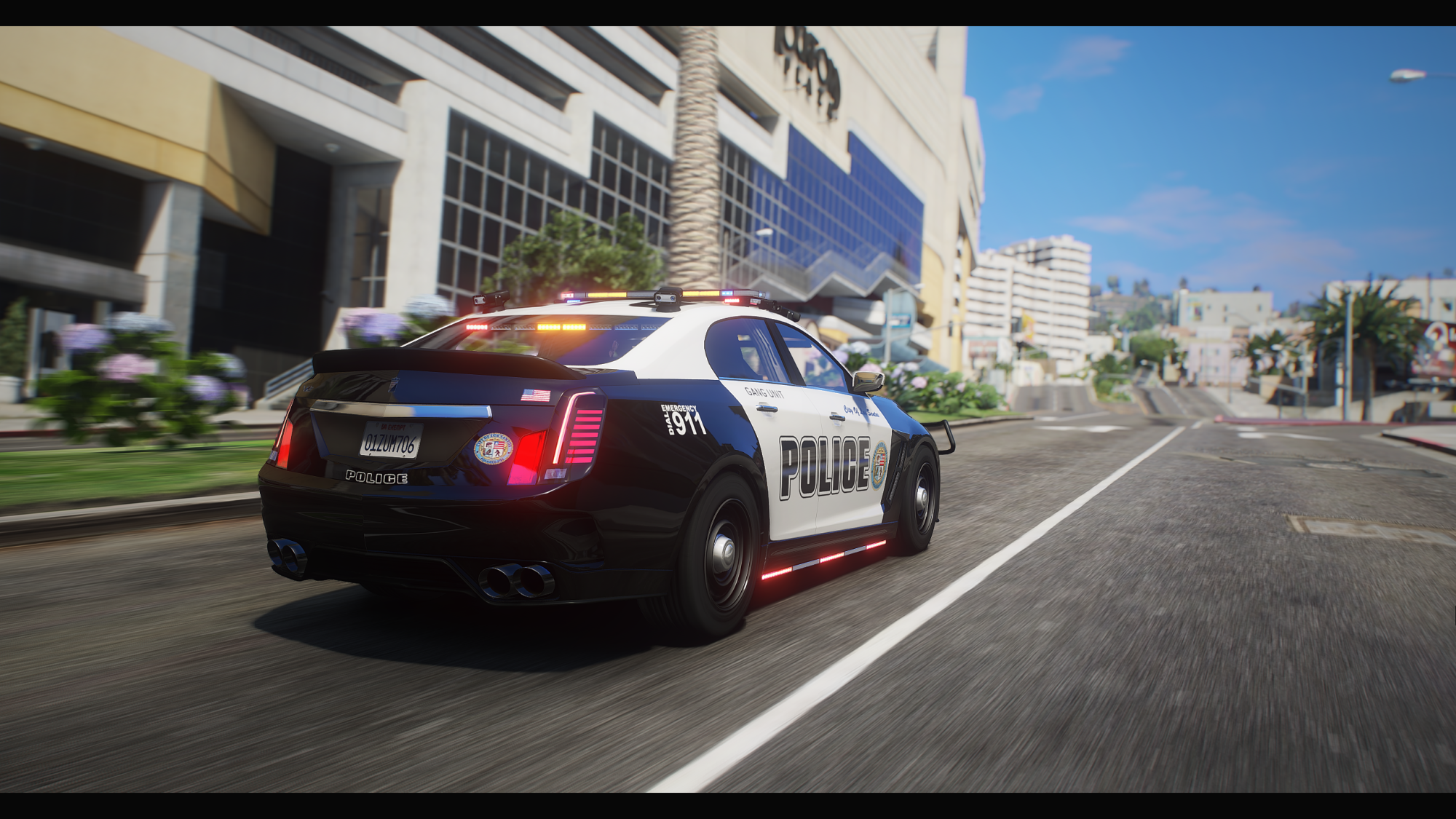 Police Albany V-STR - Image 2