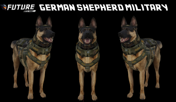 [DOG] German Shepherd Military