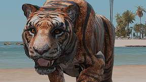 [ANIMAL] Bengala Tiger