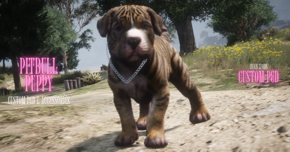 [ESCROWED] Pitbull Puppy