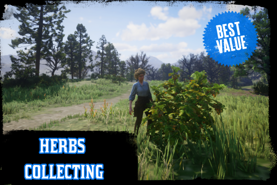 Herbs Collecting