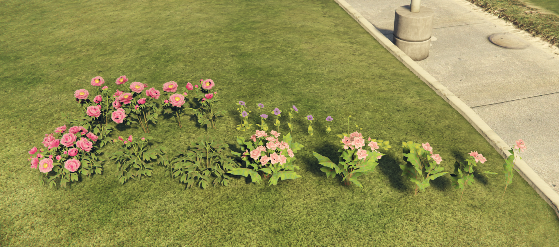 Code & Poly Blumen Props
