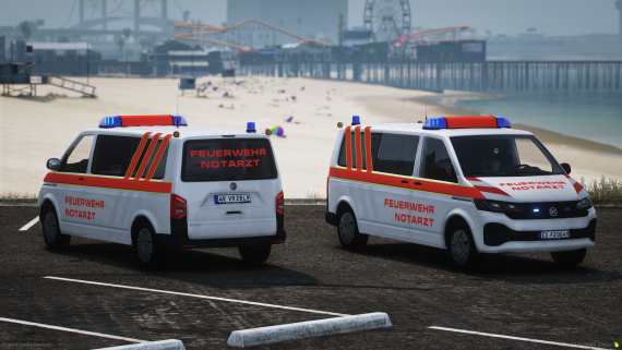 BF Sporetranser Facelift - NEF V1
