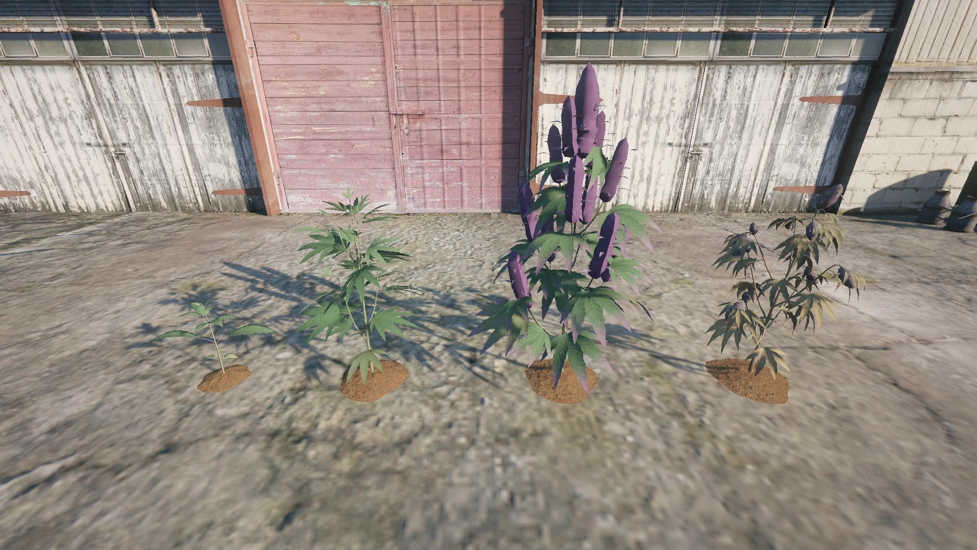 Farm Props: Street Crops - 5