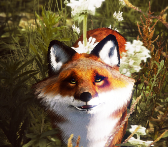 [FOX] Fox Sally