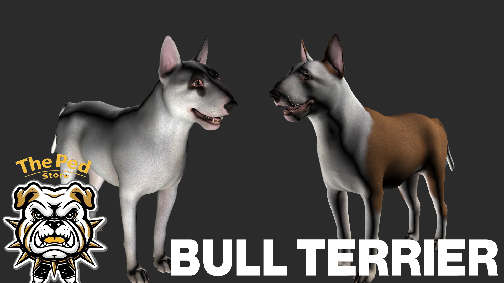 Bull Terrier